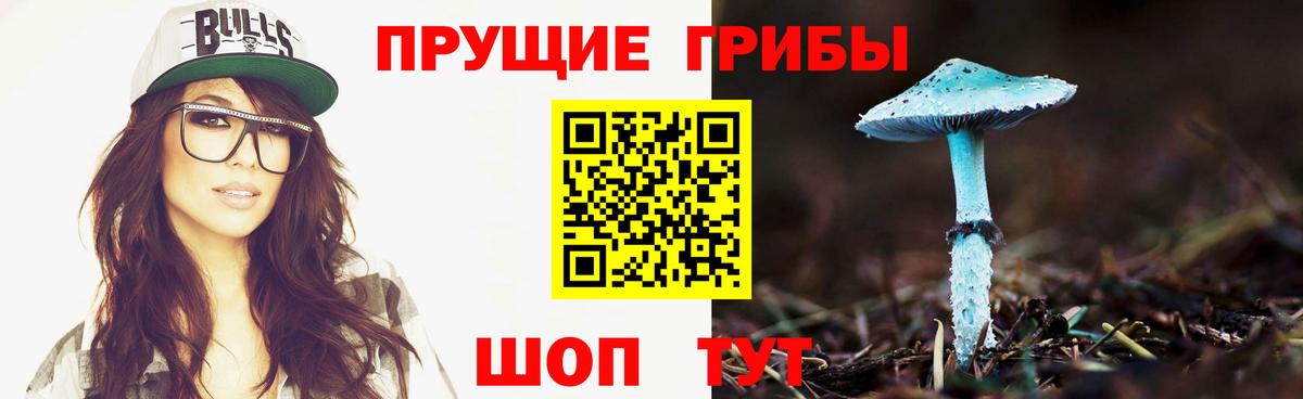 Псилоцибиновые грибы прущие грибы  Вход с VPN  Сибай 